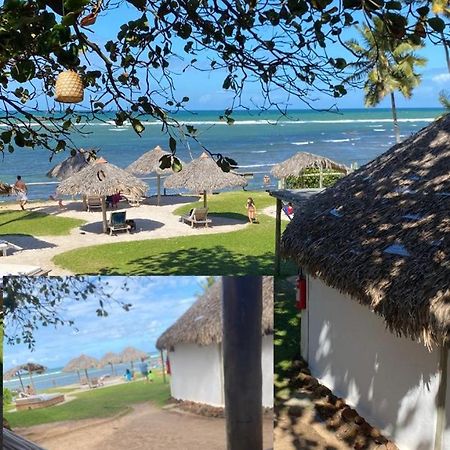 Pousada Farol Das Tartarugas Praia do Forte Eksteriør billede
