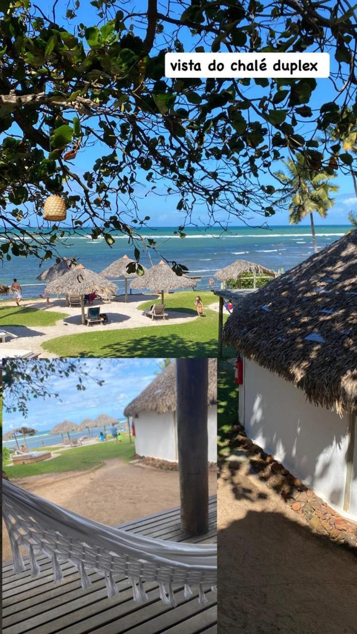 Pousada Farol Das Tartarugas Praia do Forte Eksteriør billede