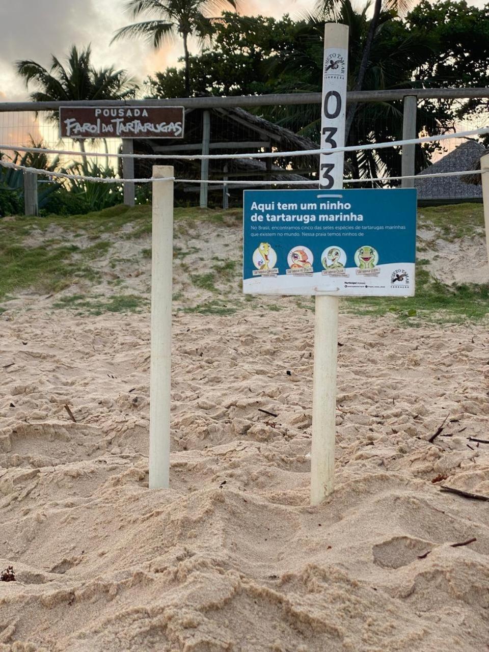 Pousada Farol Das Tartarugas Praia do Forte Eksteriør billede